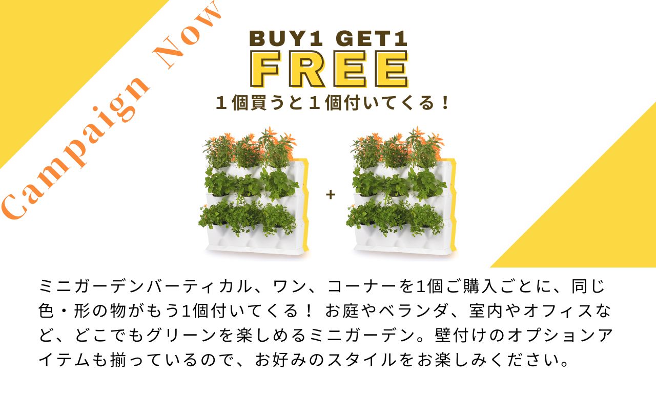 BuyGetFree ʤ飱դƤоݥץ󥿡